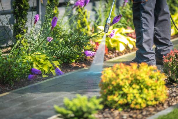 Best Machinery and Equipment Cleaning  in North Oaks, MN