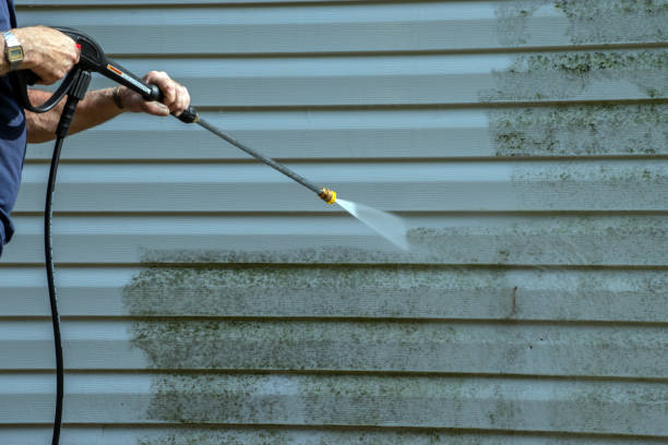Best Graffiti Removal  in North Oaks, MN